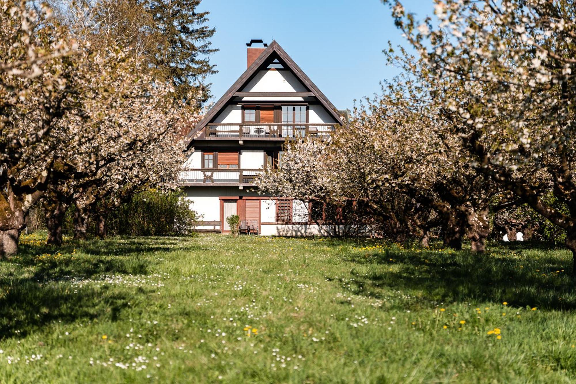 Gaestehaus Obsthof